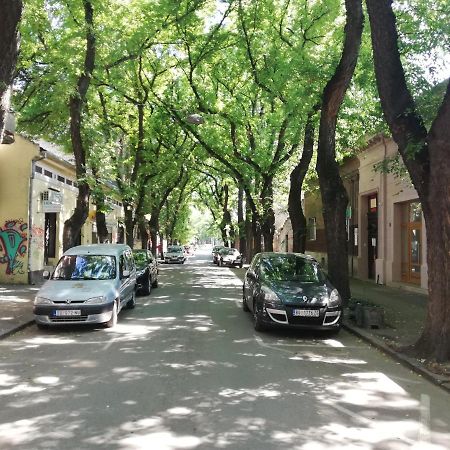 Apartman Park Subotica Ngoại thất bức ảnh