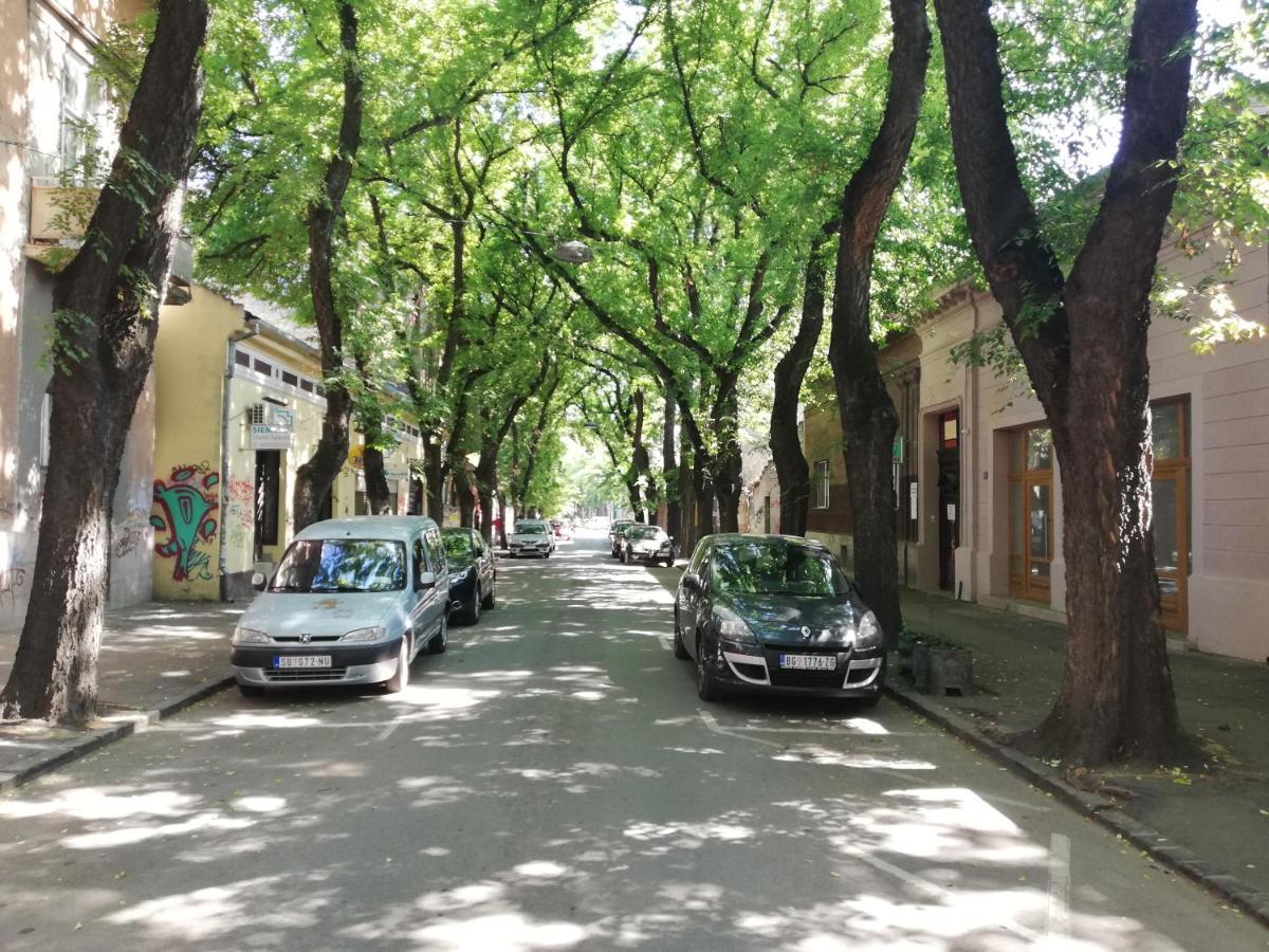 Apartman Park Subotica Ngoại thất bức ảnh